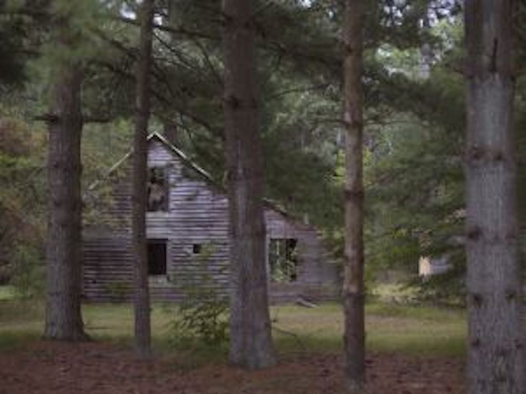 Life in the Pines: Ong’s Hat