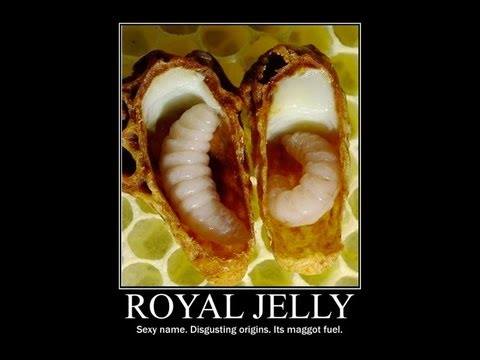 10868301_1574858336061813_4170409706239624043_n