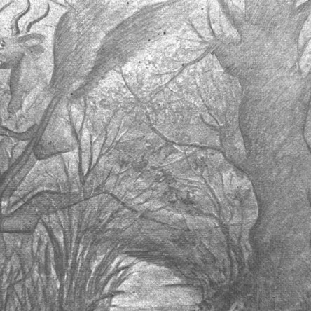 The Pine Barrens: New Jersey's weird, wondrous, wild world all its own