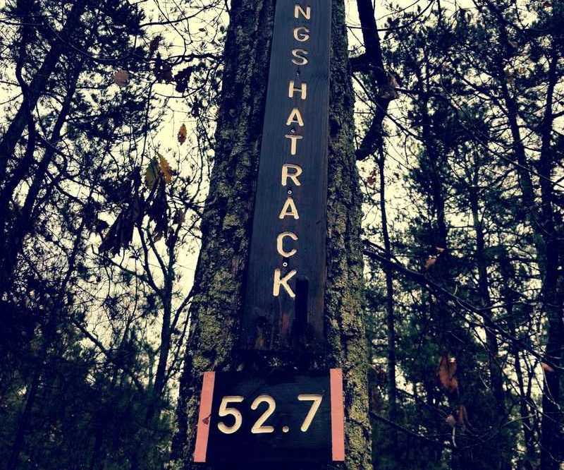 Why Locals Flock To Pine Barrens Towns In New Jersey To Explore Folklore And Legends