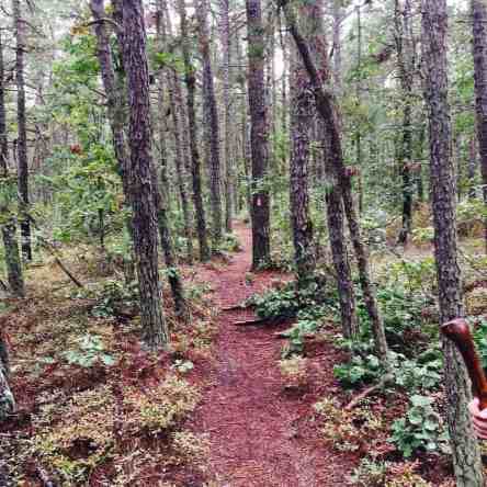 14 Haunted and Creepy Places in New Jersey That Will Give You Goosebumps