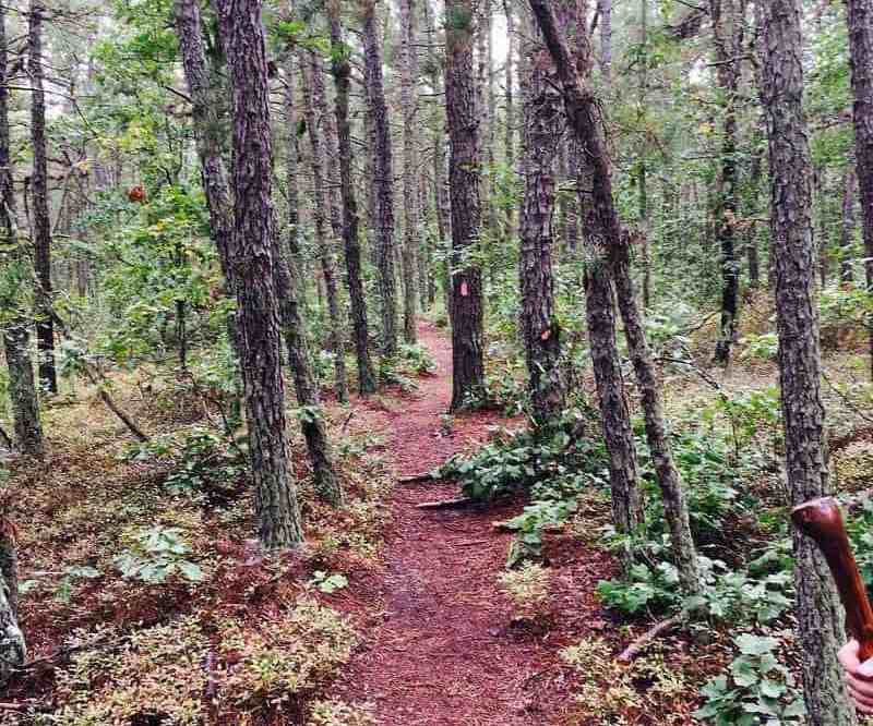 14 Haunted and Creepy Places in New Jersey That Will Give You Goosebumps