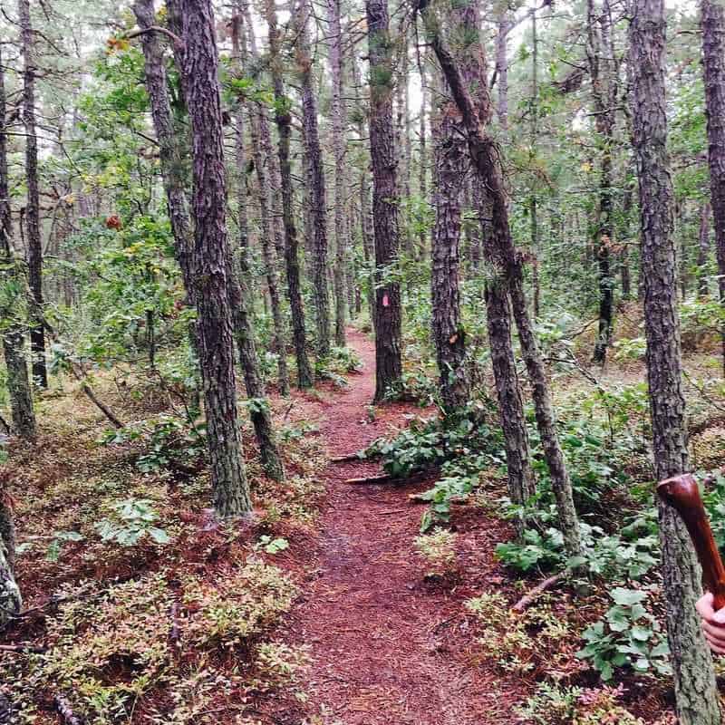 14 Haunted and Creepy Places in New Jersey That Will Give You Goosebumps 14 Haunted and Creepy Places in New Jersey That Will Give You Goosebumps