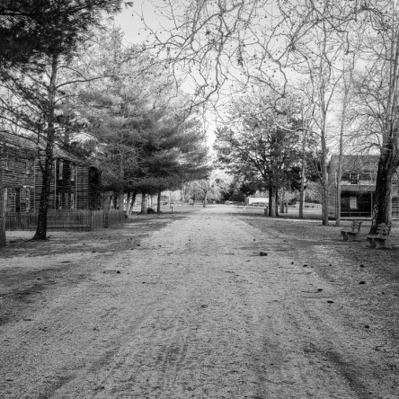 My Dad took me on graveyard picnics in the Pine Barrens — and I’ve never gotten over it